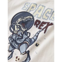 NAME IT T-shirt Victor Cloud Dancer Dino Rex